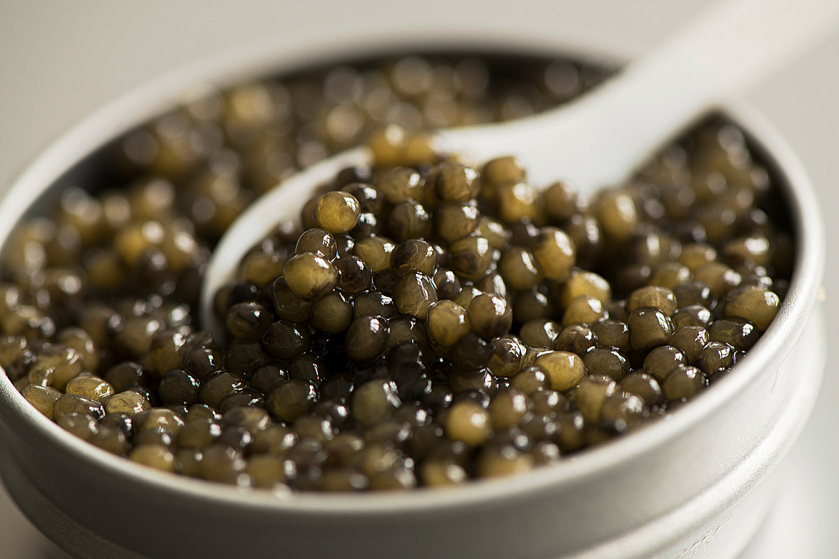 Osietra Caviar